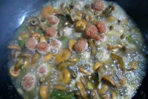 枞树菌炖肉丸的做法图解16