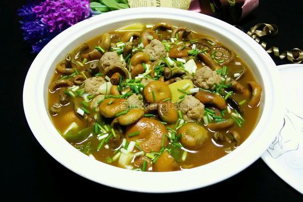 枞树菌炖肉丸的做法图解18