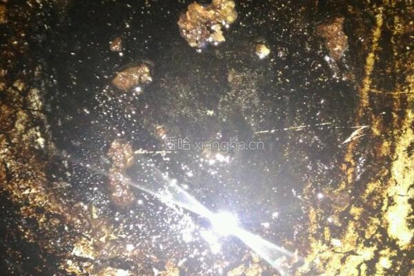 酱烧鸡翅根的做法图解2