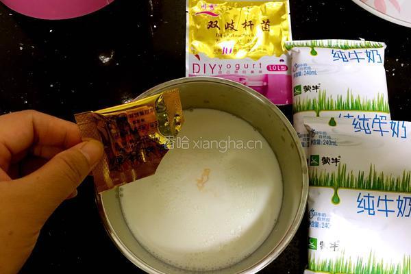 电饭煲做酸奶的做法图解5