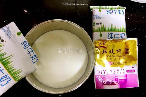 电饭煲做酸奶的做法图解6