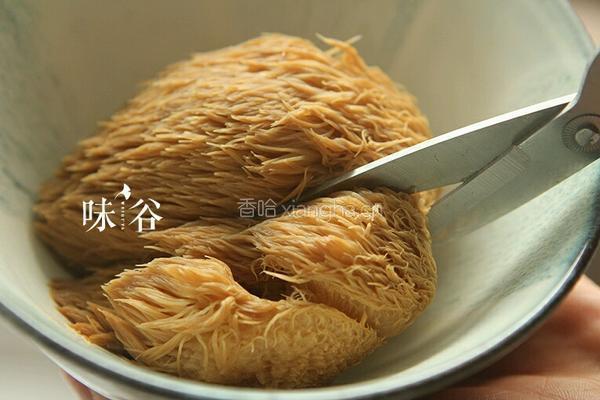 灵芝猴头菇枸杞汤的做法图解3