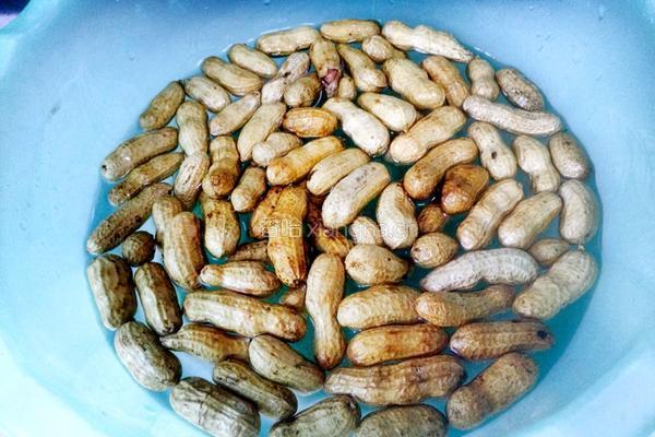 卤水花生的做法图解1