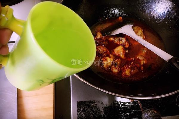 美味大盘鸡的做法图解10