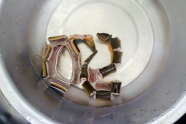 爆炒鳝鱼的做法图解4