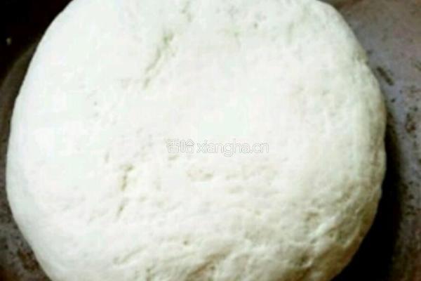 胡萝卜素馅饺子的做法图解2
