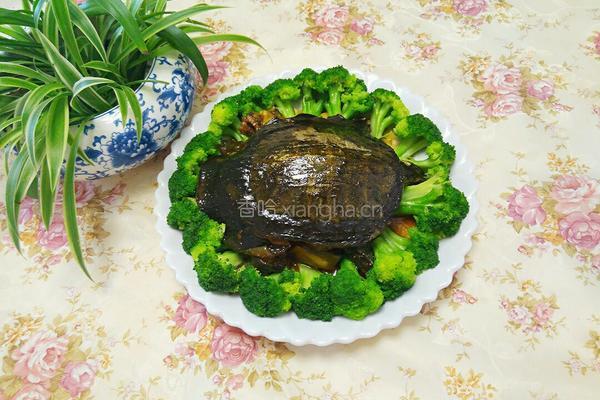 红烧甲鱼的做法图解12