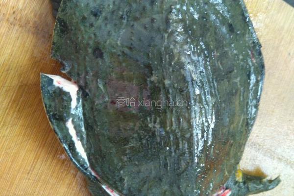 红烧甲鱼的做法图解1