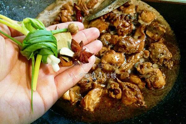 红烧兔肉的做法图解14