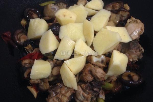 香菇土豆焖鸡块的做法图解10