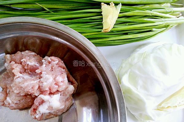 圆白菜猪肉馅饺子的做法图解3