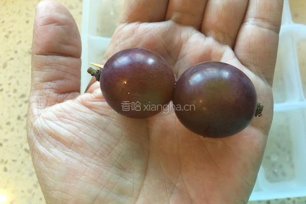 冰葡萄的做法图解6