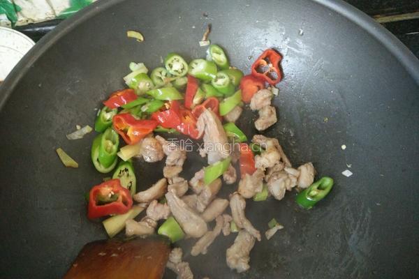 辣椒炒羊肉的做法图解7