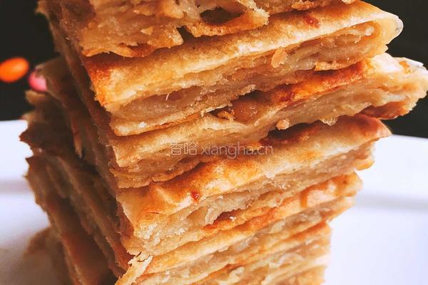 千层肉饼～的做法图解13