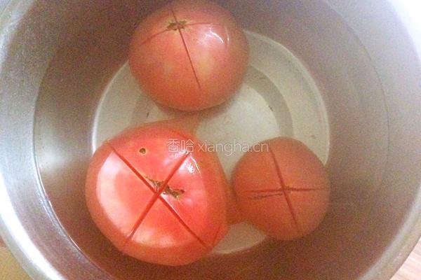 西红柿土豆炖牛肉的做法图解6