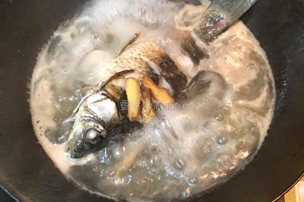 清炖鲫鱼汤的做法图解5
