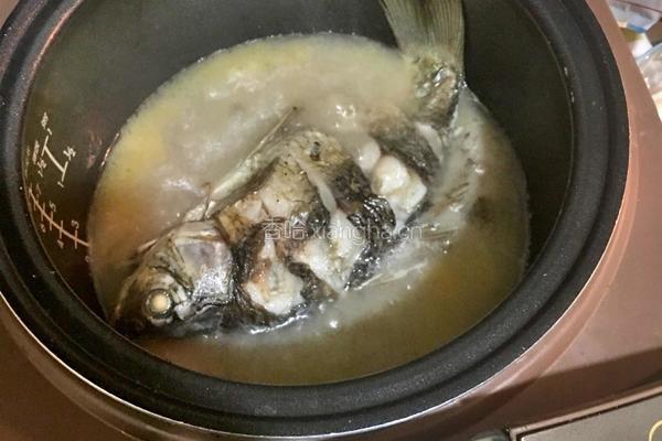 清炖鲫鱼汤的做法图解7