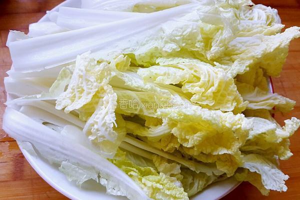 白菜炒粉丝的做法图解1