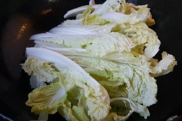 白菜炒粉丝的做法图解4
