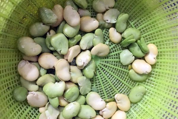 酥炸蚕豆瓣的做法图解2