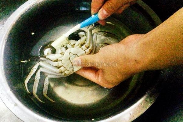 麻辣砂锅螃蟹的做法图解3