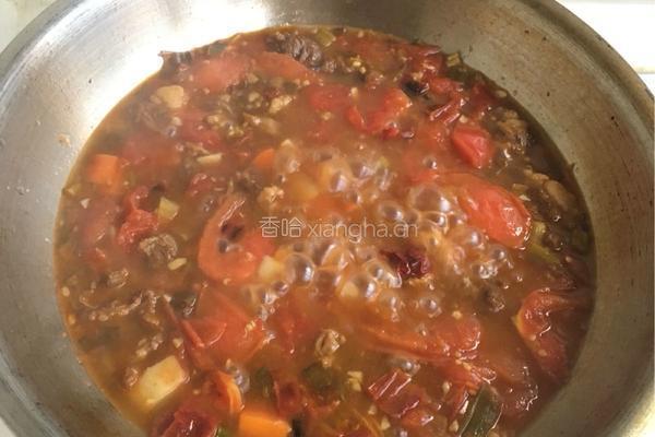 西红柿牛腩的做法图解8