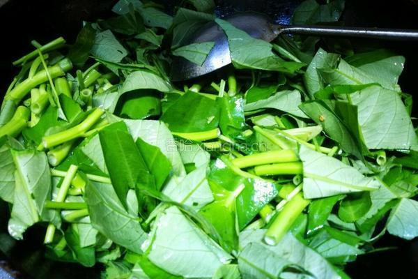 空心菜爆豆鼓的做法图解3