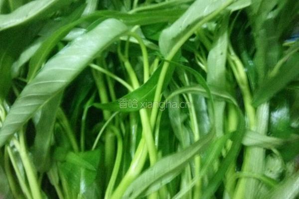 炒空心菜的做法图解1