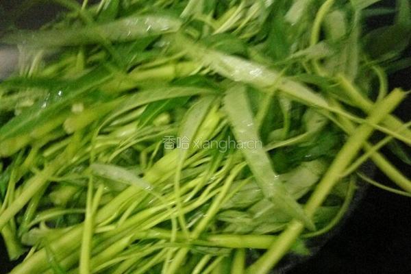 炒空心菜的做法图解5