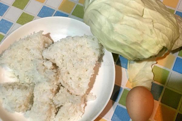 卷心菜炒饭的做法图解1