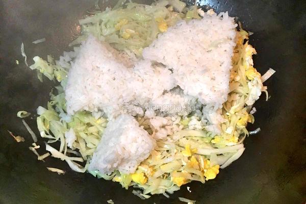 卷心菜炒饭的做法图解5