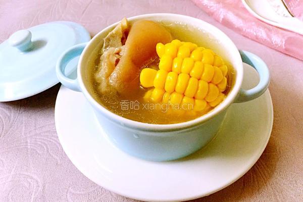 甜玉米猪手汤的做法图解7