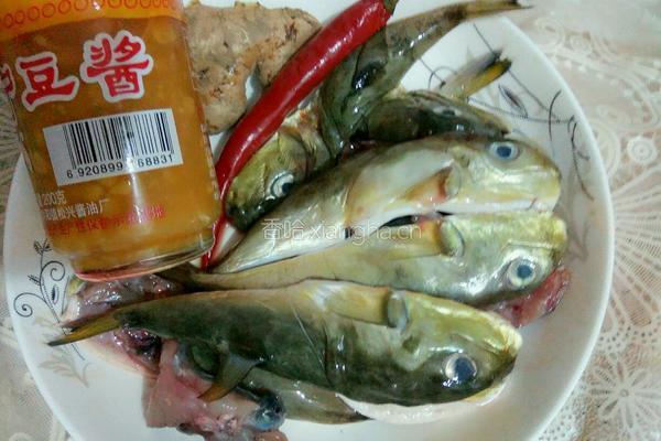 红烧河豚的做法图解1
