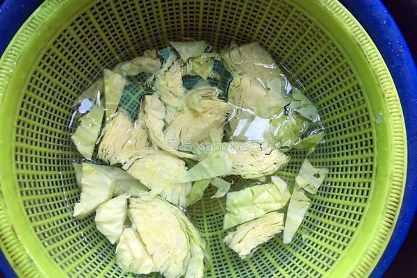 包菜粉条的做法图解2