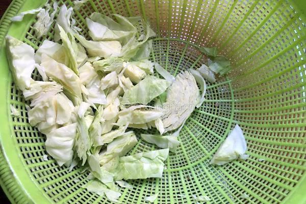 包菜粉条的做法图解3
