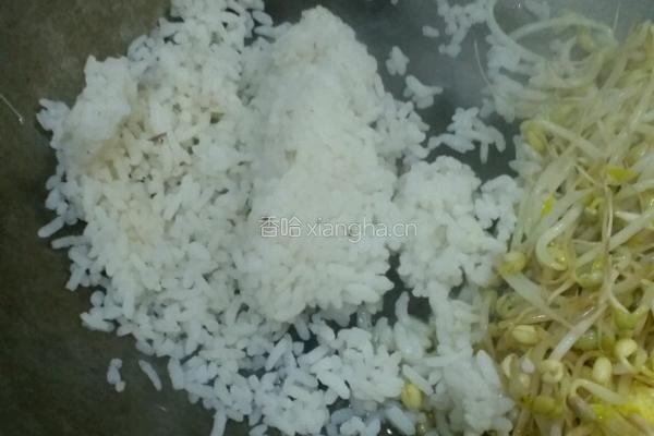 绿豆芽蛋炒饭的做法图解4