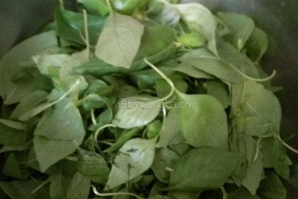 荆芥煎饼的做法图解1