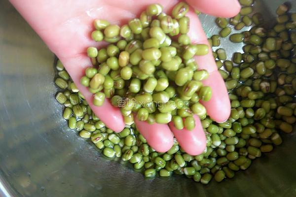 绿豆海带粥的做法图解1
