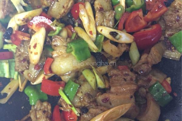 豆豉回锅肉的做法图解4