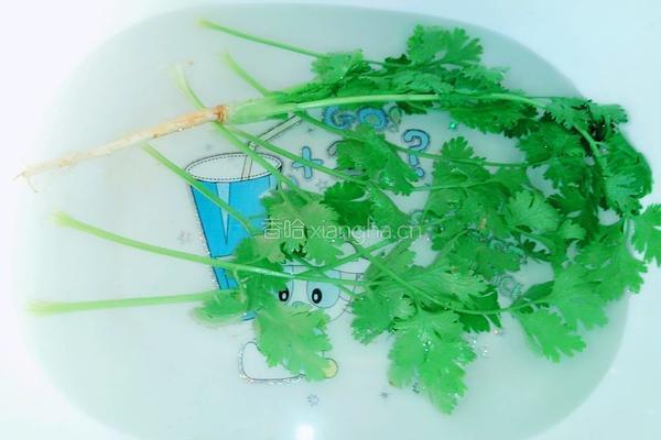 青炒冬瓜的做法图解2