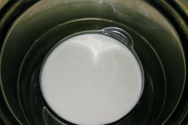 家庭自制老酸奶的做法图解4