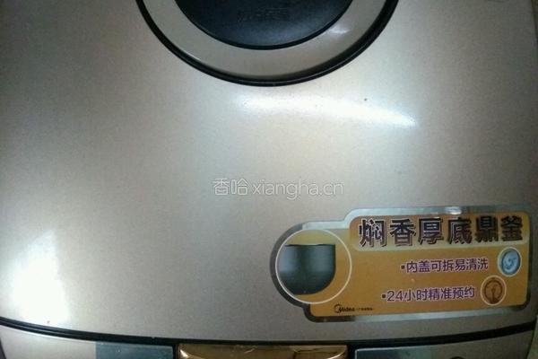 电饭煲焗排骨的做法图解4