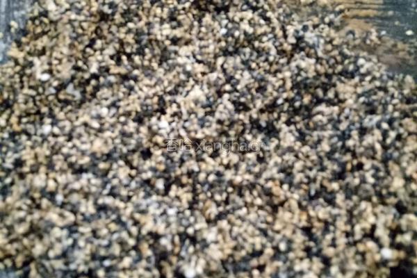 自制芝麻糖的做法图解6