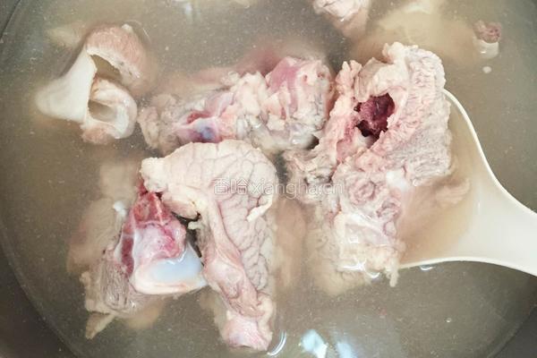 肉骨茶的做法图解4