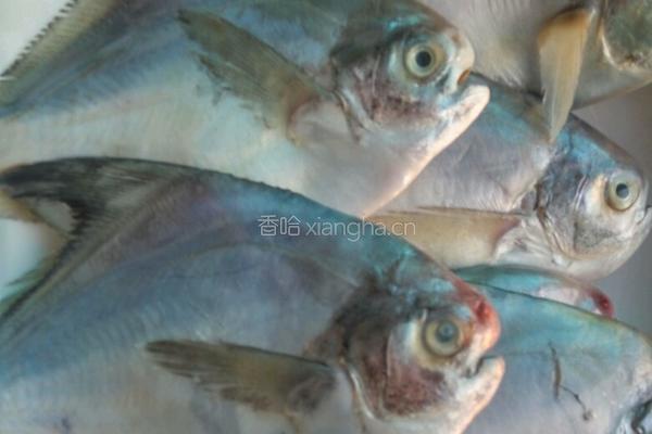 红烧平鱼的做法图解1