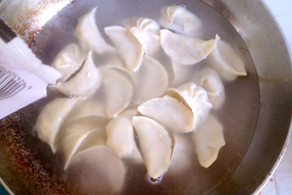 韭菜鸡蛋木耳火腿饺子的做法图解21
