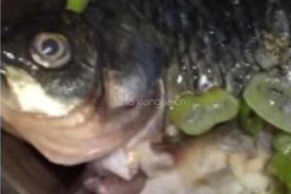 鱼炖豆腐的做法图解1