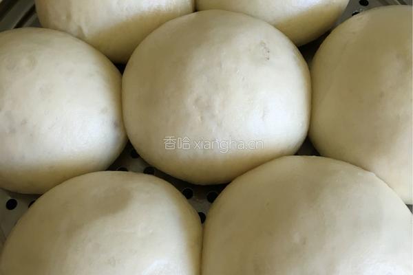 蒸馒头的做法图解6