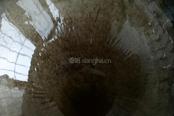 蛋炒饭的做法图解3