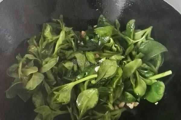 蒜蓉穿心莲的做法图解6